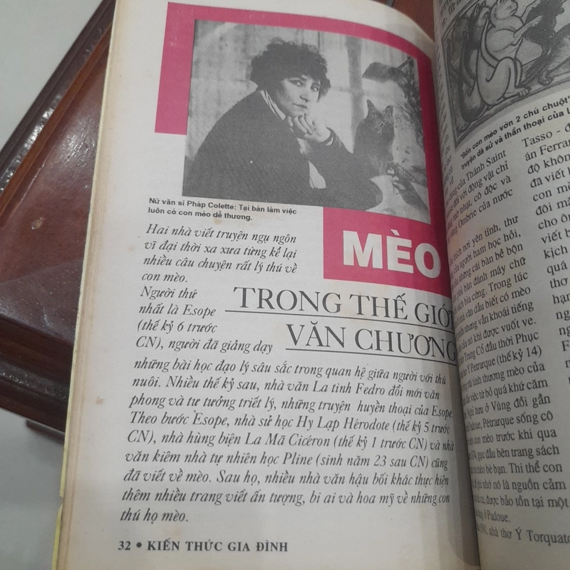 KIẾN THỨC GIA ĐÌNH Xuân Kỷ Mão '99 447777