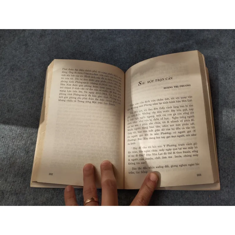 ĐIỆU LĂM VÔNG TÌNH NGHĨA 720010