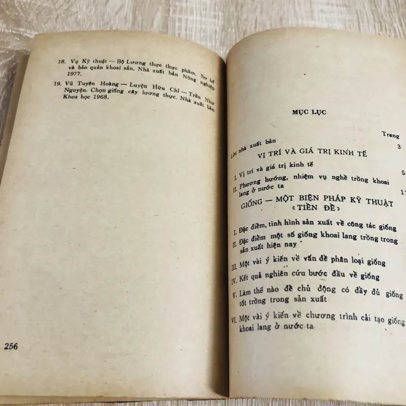 KỸ THUẬT THÂM CANH CÂY KHOAI LANG  1027906