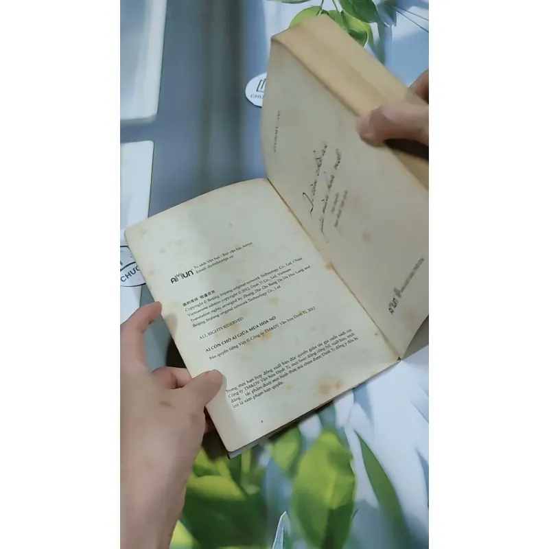 Ai Còn Chờ Ai Giữa Mùa Hoa Nở - Sói Xám Mọc Cánh 744737