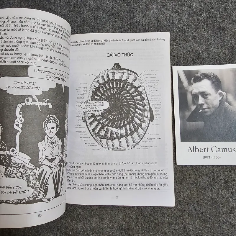 Nhập môn Freud 974656