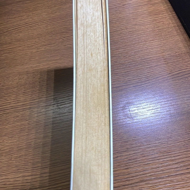 Nếu chỉ là thoáng qua Mai Tử Hoàng Thời Vũ 378250