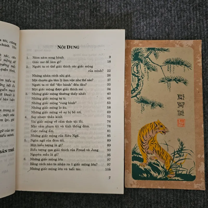 Giải mã các giấc mộng qua ánh sáng phân tâm học 745928