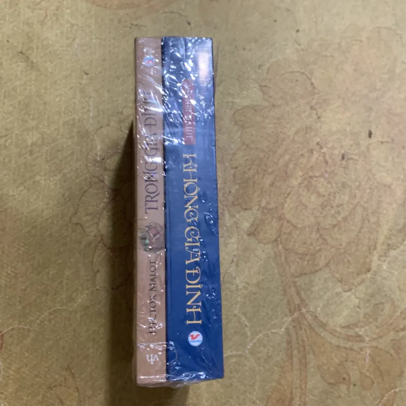 COMBO HECTOR MALOT: KHÔNG GIA ĐÌNH & TRONG GIA ĐÌNH 752144