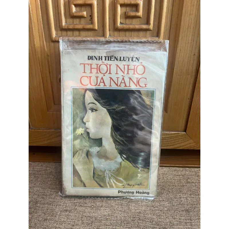 Thời Nhỏ Của Nàng – Đinh Tiến Luyện 926610