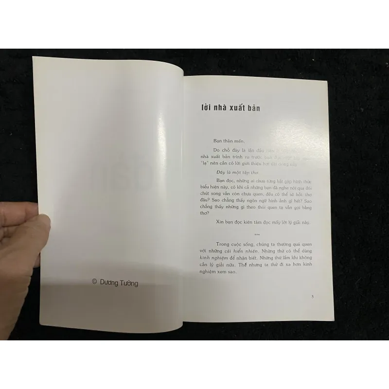 Đàn- Thơ ngoài lời- Dương Tường 1025181