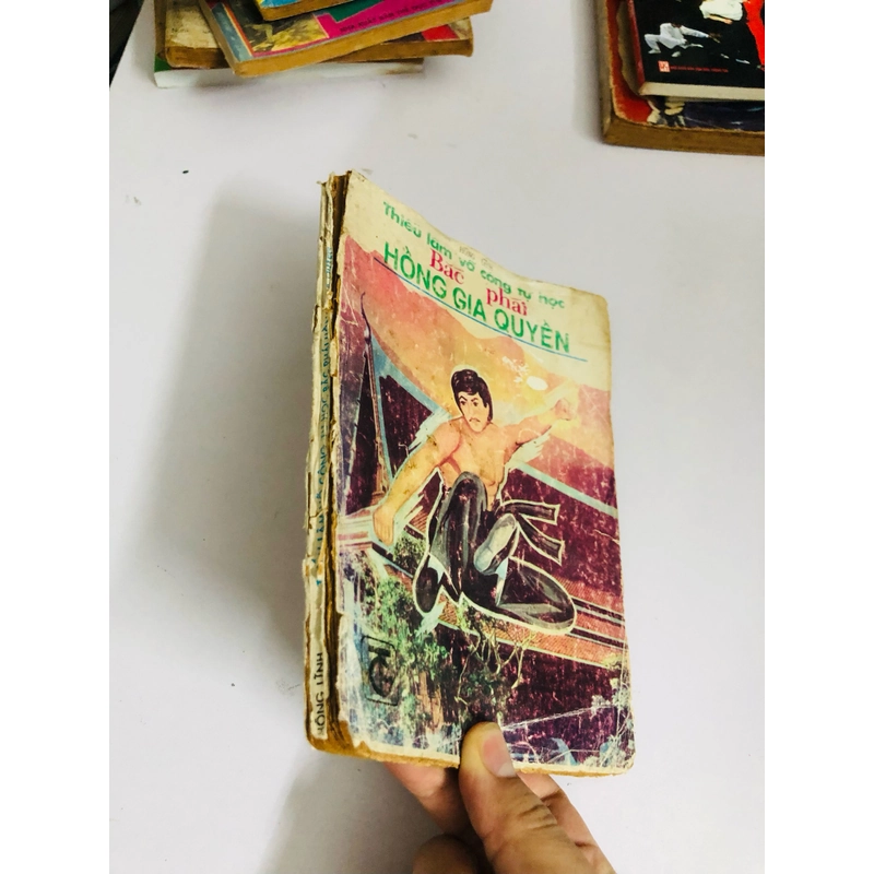 BẮC PHÁI HỒNG GIA QUYỀN  531166