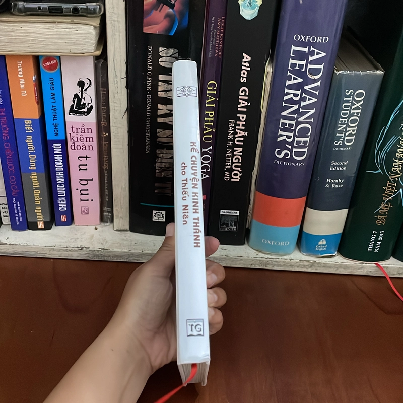 II Sách Kinh Thánh: Kể Chuyện Kinh Thánh Cho Thiếu Niên (Từ 10 Đến 15 Tuổi) - 2017 548062