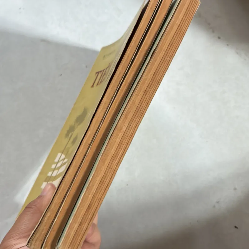 Văn học & Tiếng Việt 11 990394