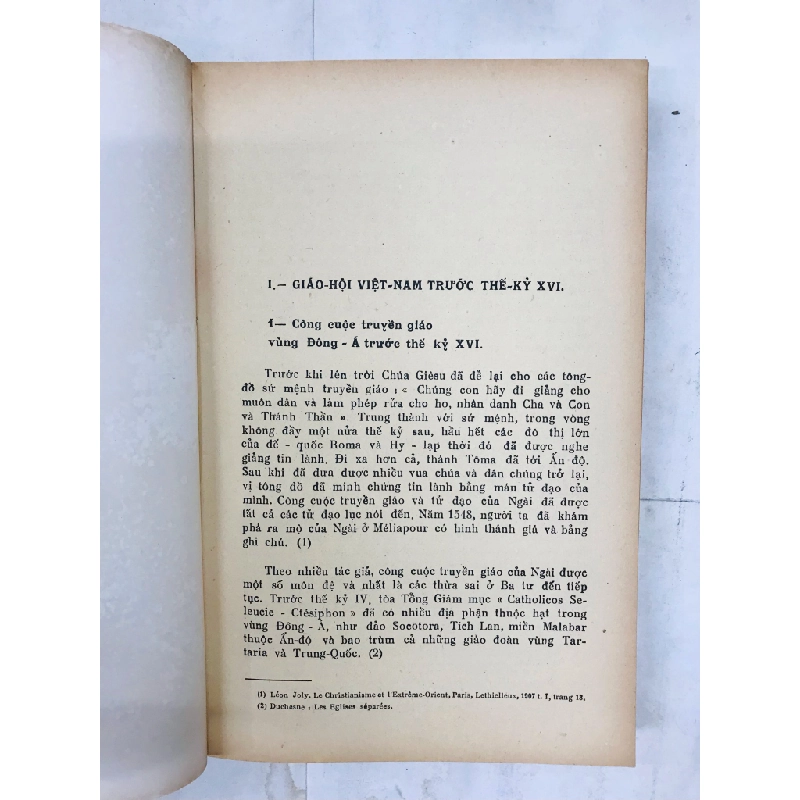 Lịch sử truyền giáo Việt Nam - L.M. Nguyễn Hồng 127861