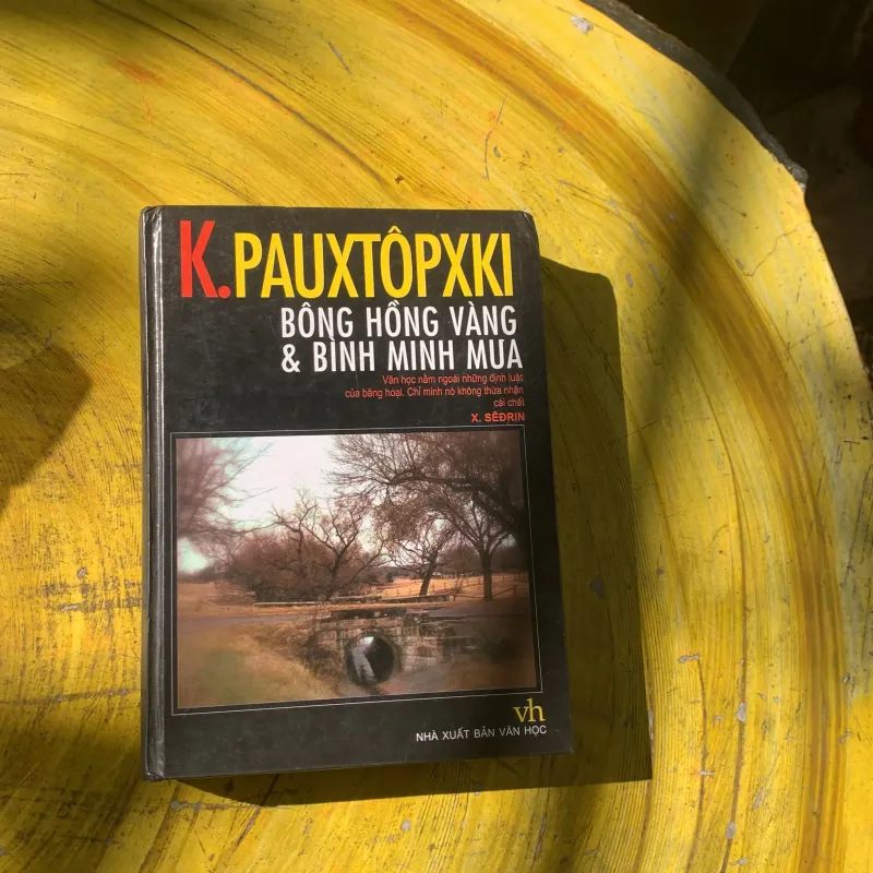 BÔNG HỒNG VÀNG & BÌNH MINH MƯA - K. PAUTOPXKI 783387