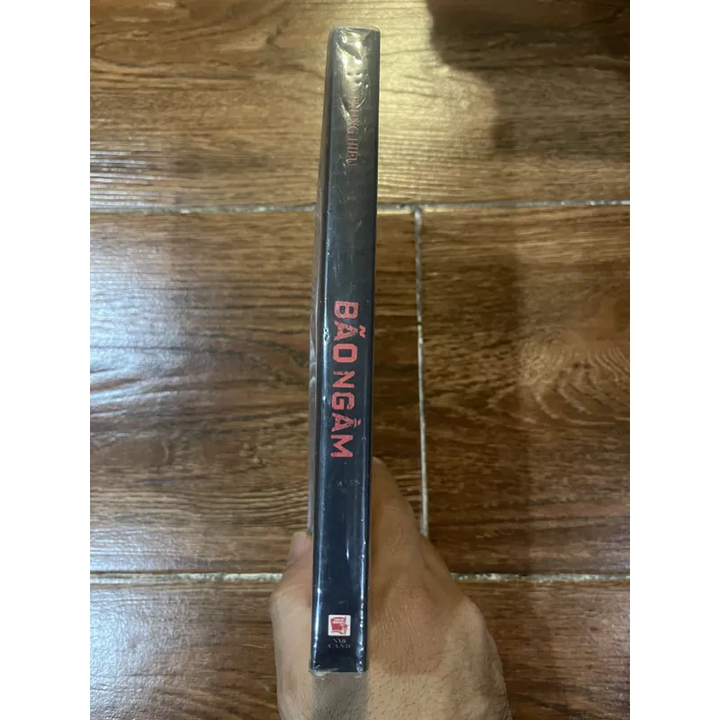 Bão Ngầm - Đào Trung Hiếu (k1) 730554