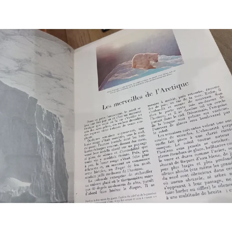 Encyclopédie de la vie sauvage 593043