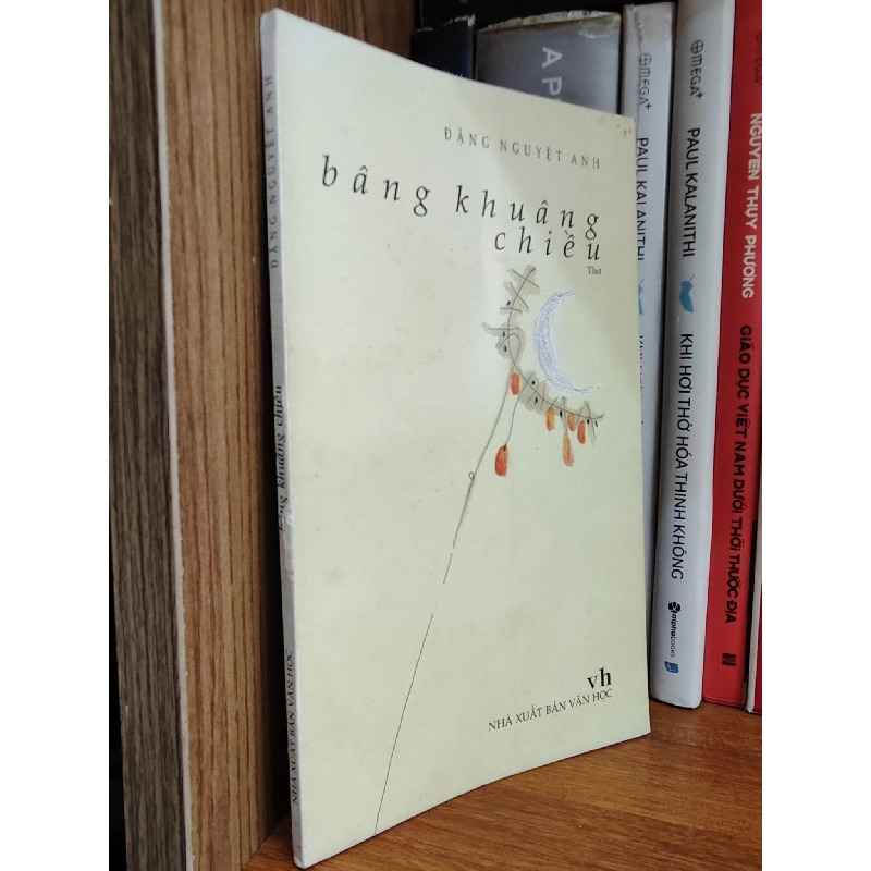 Bâng khuâng chiều - Đặng Nguyệt Anh 1028041