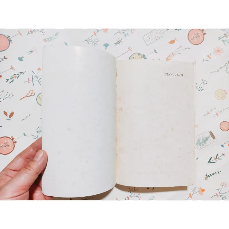 Cuộc Tình - Giả Bình Ao 782204