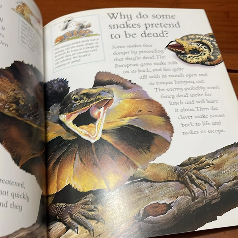 PICTURE BOOK Snakes shed their skin 536374