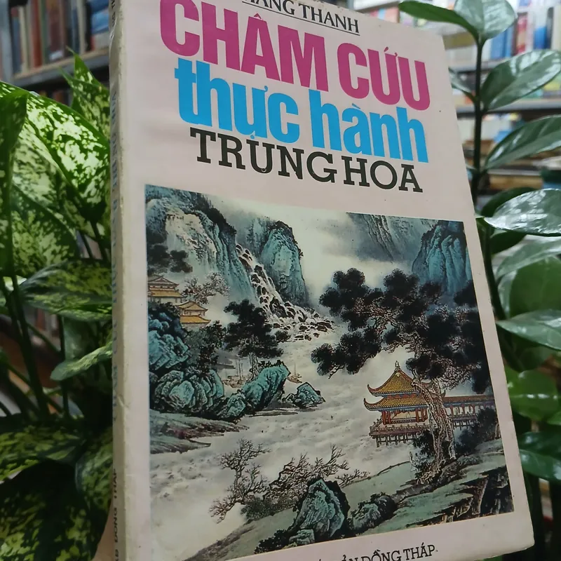 CHÂM CỨU THỰC HÀNH TRUNG HOA - HÀNG THANH 591730