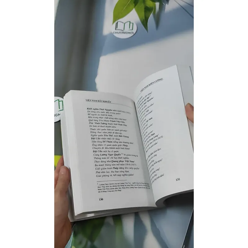 Việt Nam Bất Khuất - Việt Nam Kiên Cường - Hồng Lam Vũ Đình Hệ 928612