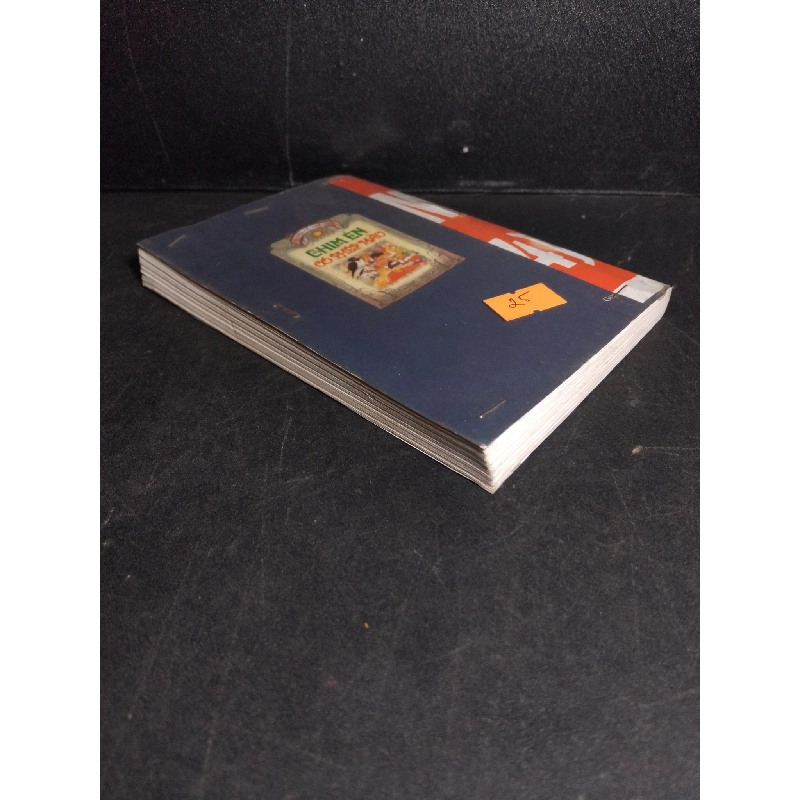 Chim én có phép màu mới 80% bẩn nhẹ, có mộc đỏ 2004 HCM1001 Đức Duy, Doãn Điền VĂN HỌC 918920