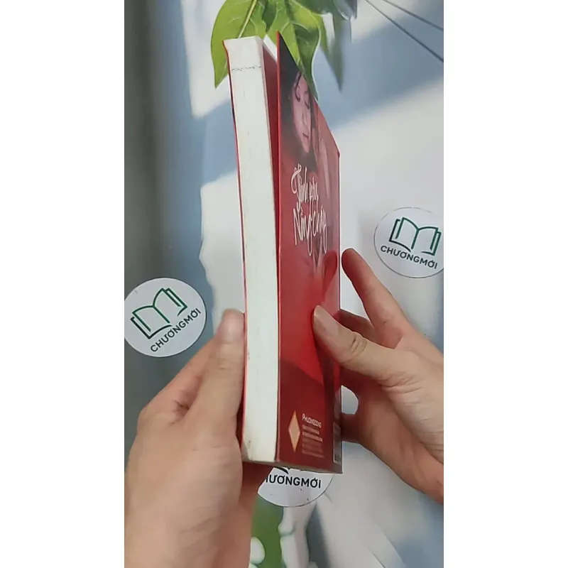 Tình yêu nồng cháy - Sái Cần Cần 688658