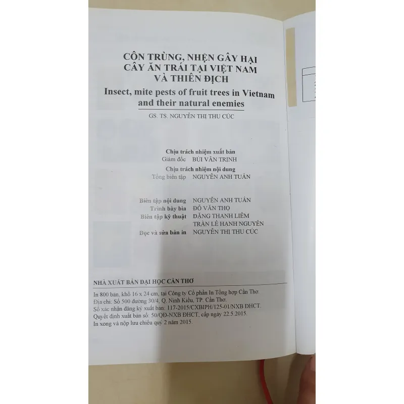 CÔN TRÙNG NHỆN GÂY HẠI CÂY ĂN TRÁI....  799628