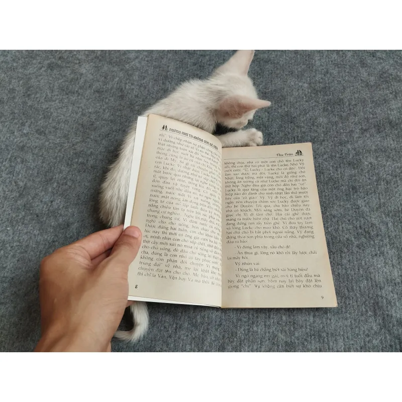 DƯỜNG NHƯ TA KHÔNG CÒN BÉ NỮA - THU TRÂN 567798