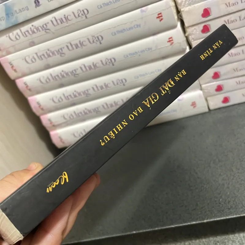 Bạn đắt giá bao nhiêu - Vãn Tình 998032