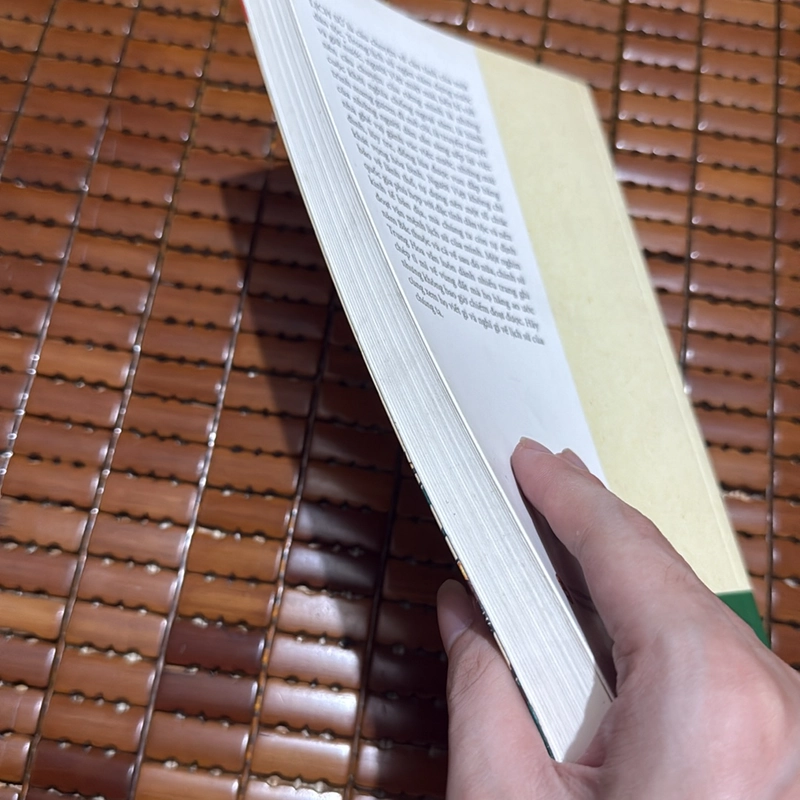 An Nam truyện - Châu Hải Đường dịch và biên soạn 532296