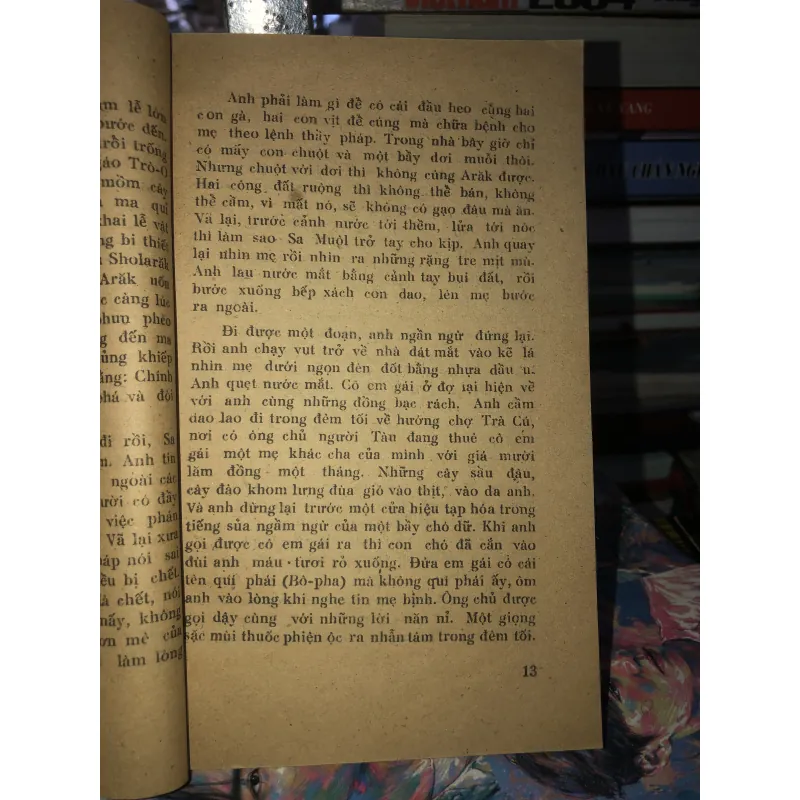 Cây sầu đâu sinh đôi - Trúc Phương  976169