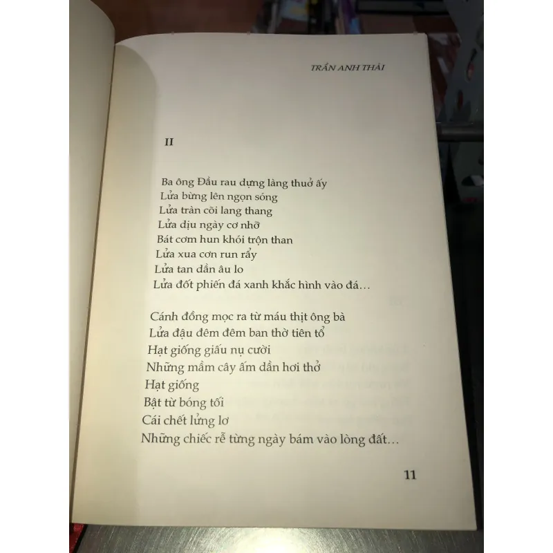 Trường ca - Trần Anh Thái 1009504