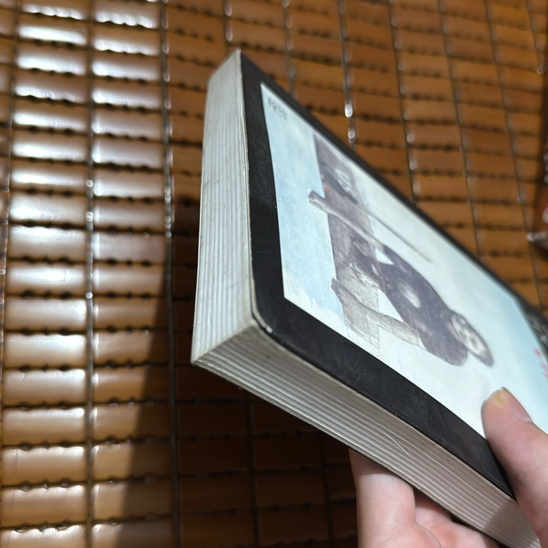 Tốc độ ánh sáng Việt Nam - Javier Cercas 479512
