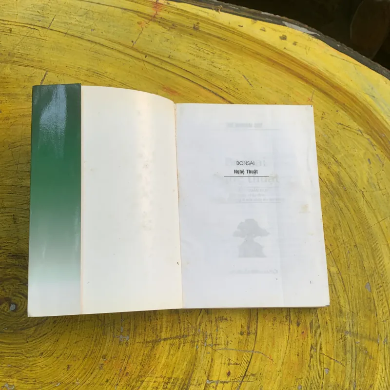 COMBO BONSAI Cây dáng, thế và Non bộ  775779