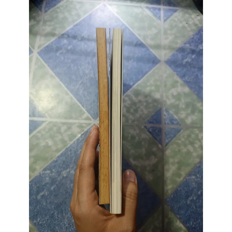 Vẫn còn nhớ nhau + Sài Gòn bao giờ cũng thế - Nguyễn Thị Hậu 975935