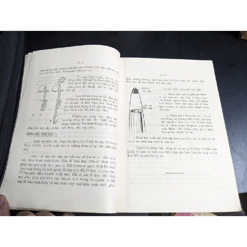 Luyện Thi Thực Vật Tú Tài Phần 1 - Bùi Kim Chi 395972