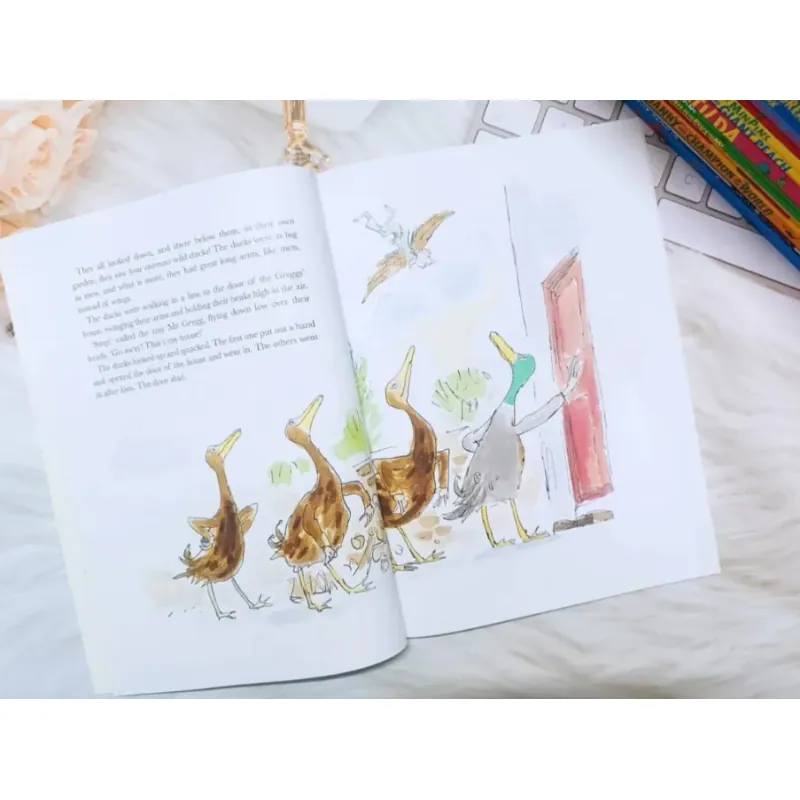 SÁCH - ROALD DAHL-PHIÊN BẢN ĐẶC BIỆT KHỔ TO A4 FULL MÀU - 20 cuốn 1000794