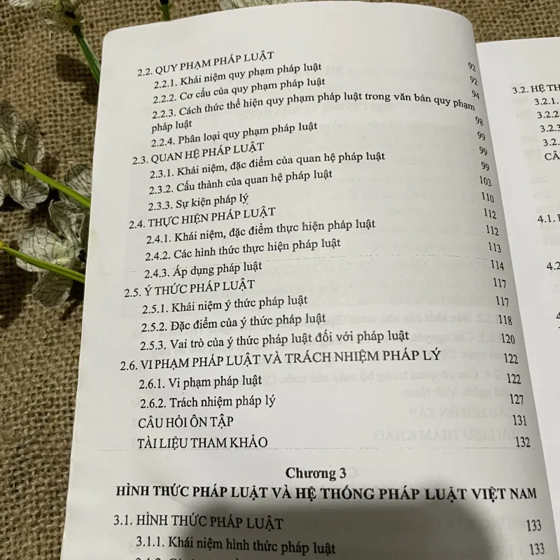 Giáo trình đại cương nhà nước và pháp luật - 570 trang  797696