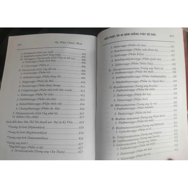 Đức Phật Và 45 Năm Hoằng Pháp Độ Sinh - tập 13 756002
