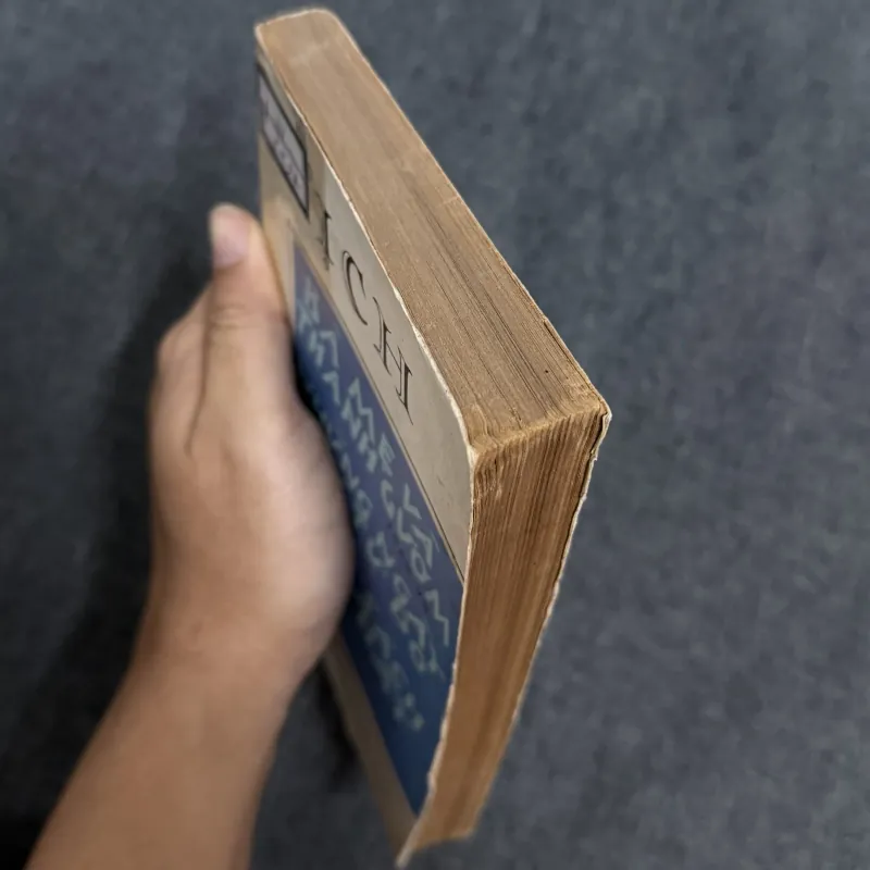 Bà mẹ và thanh gươm. Những ngày đầu tự do. Cuốn sách tìm thấy - Phan Vũ, T. Vượng, D. Hiệp 1010582