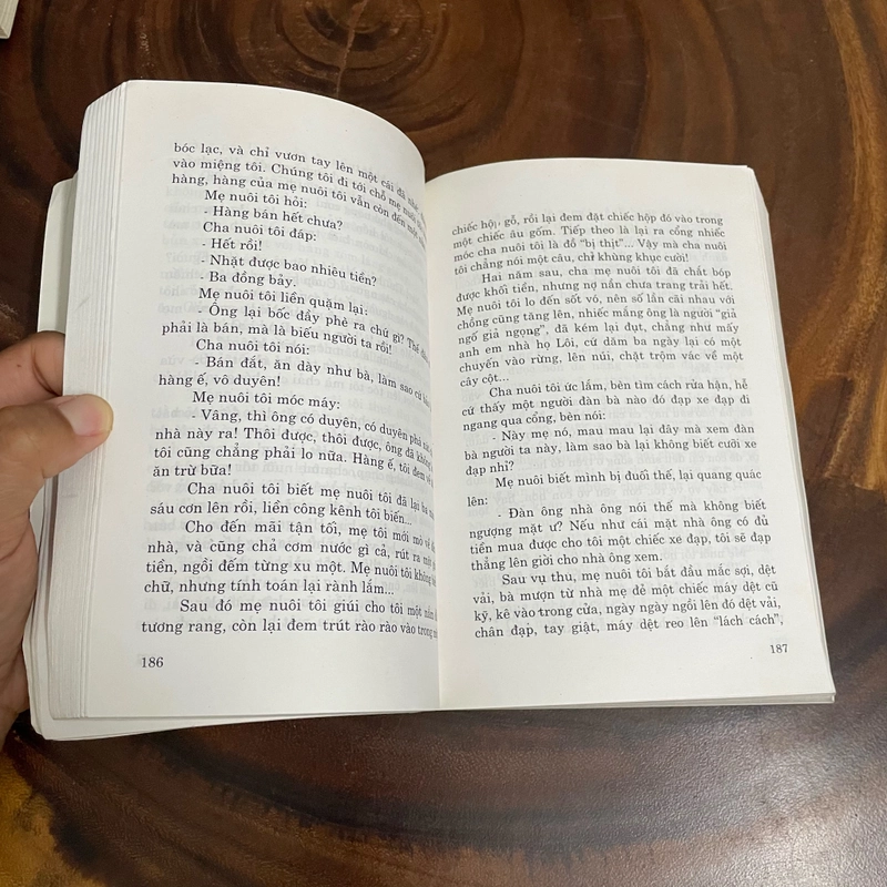 II Tựa sách: Truyện Ngắn _ Giả Bình Ao - 2003 462798