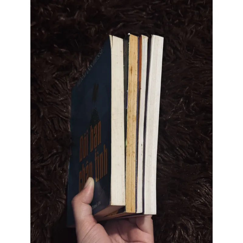 Combo 4 tác phẩm Hermann Hesse 738235