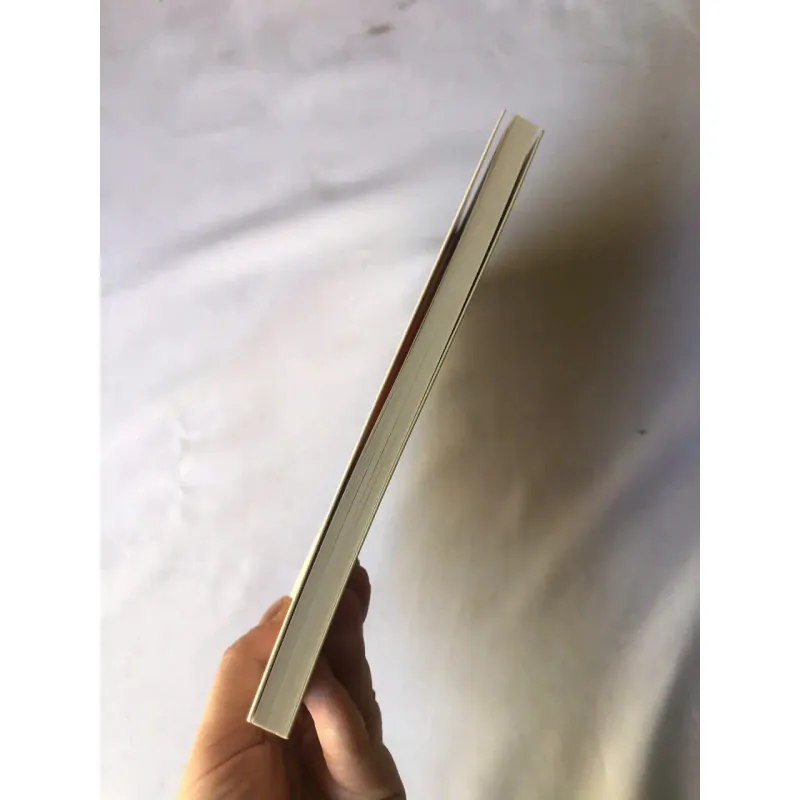 Chuyện Sarah - Pauline Delabroy-Allard 788082