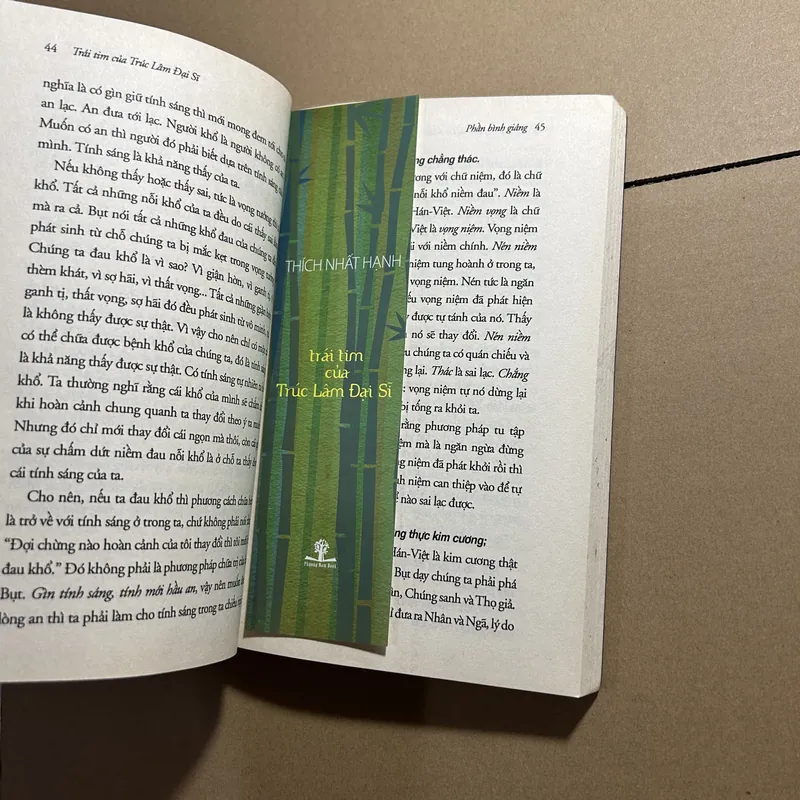 Trái tim của Trúc Lâm Đại Sĩ 570504