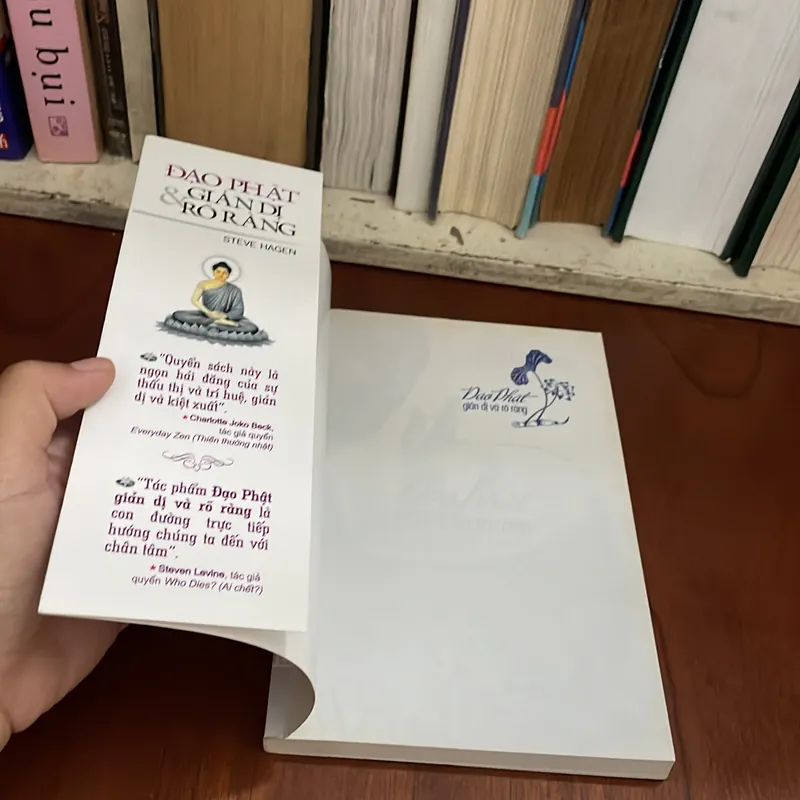II Sách Phật Giáo: Đạo Phật Giản Dị Và Rõ Ràng - STEVE HAGEN - 2012 573443