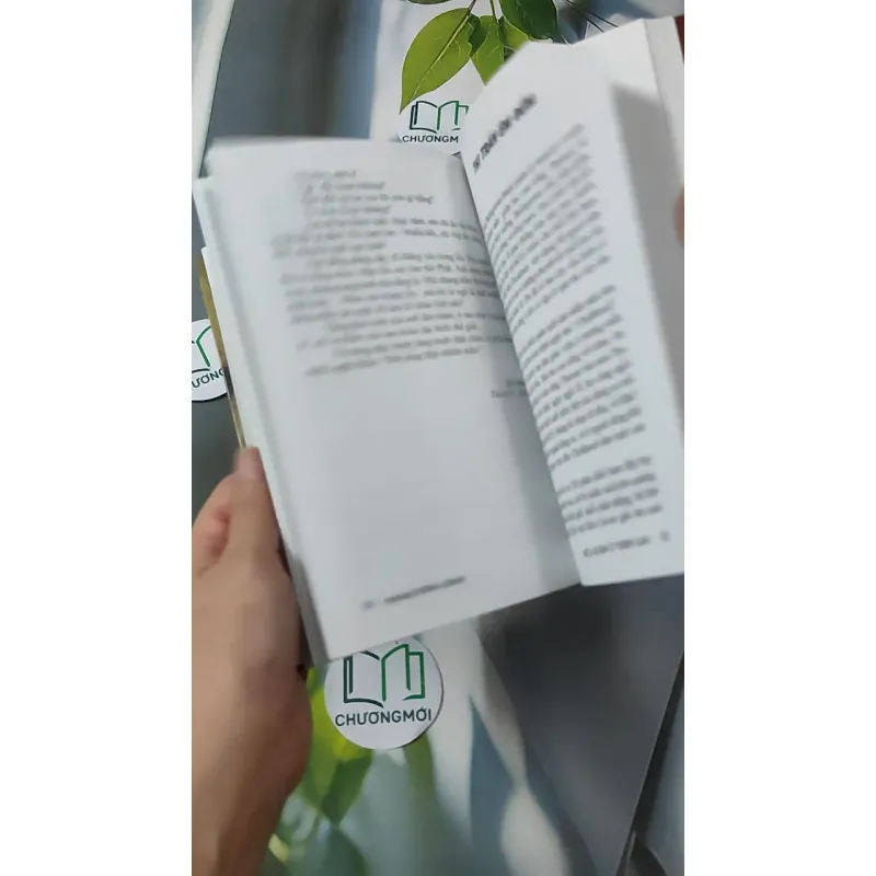 Mùa Xuân Ở Trên Cao - Mang Viên Long 928593