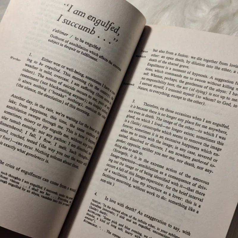 Roland Barthes  - A Lover's Discourse: Fragments 957099