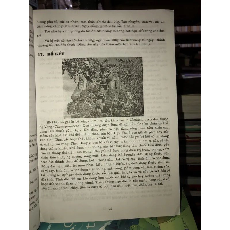 Cẩm nang chăm sóc sức khỏe cho mọi nhà - Hướng dẫn sử dụng cây thuốc và vị thuốc Việt Nam  749051