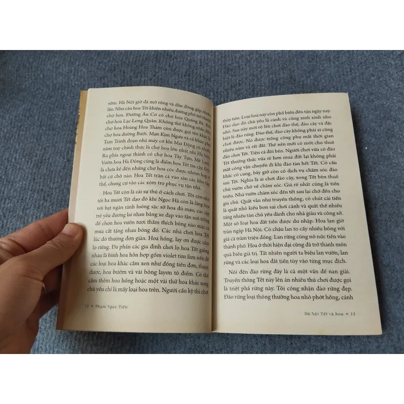 PHỐ PHỞ PHỐ CÓ NHÀ TO 727131