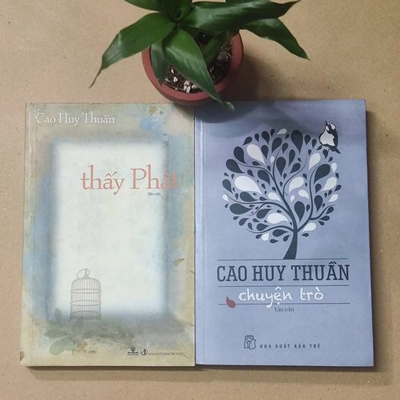 GS.CAO HUY THUẦN - THẤY PHẬT - CHUYỆN TRÒ 310329