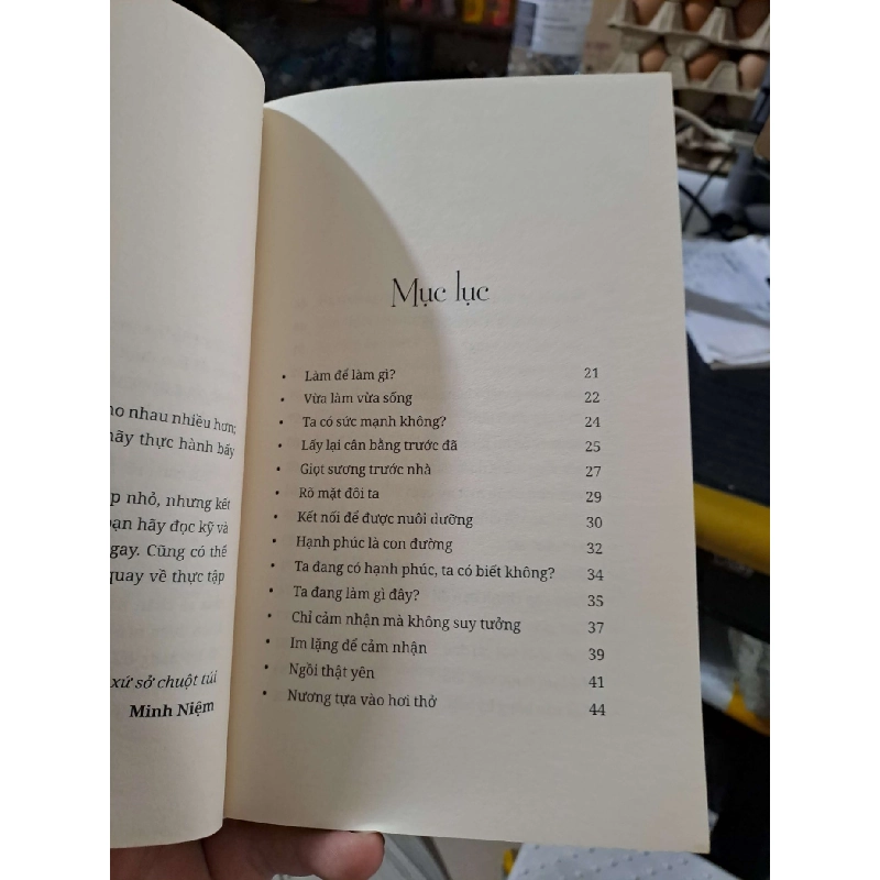 Làm Như Chơi - Minh Niệm - 2018 mới 80% ố nhẹ - VĂN HỌC - HCM3012 749676