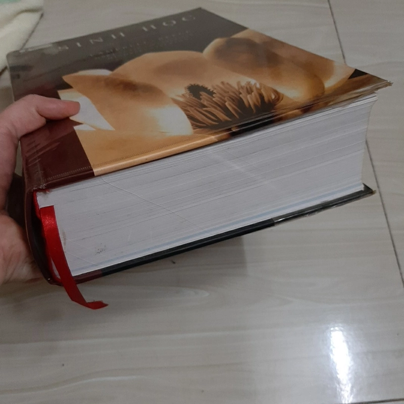 SINH HỌC - CAMPBELL & RECE ( gồm File gốc tiếng Anh, File gốc tiếng Việt) 325238
